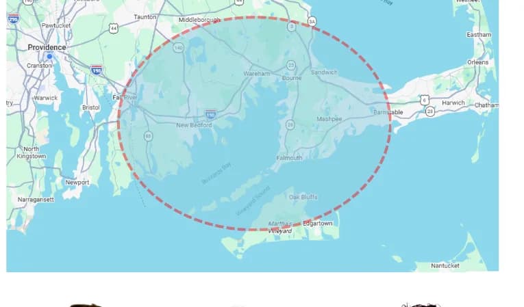 BIG 101.3 coverage map